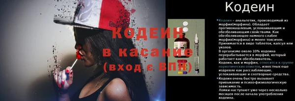 трава Новозыбков