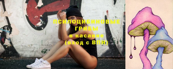 твердый Алексин