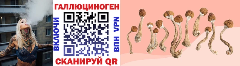 купить   Щёлкино  Псилоцибиновые грибы мухоморы 